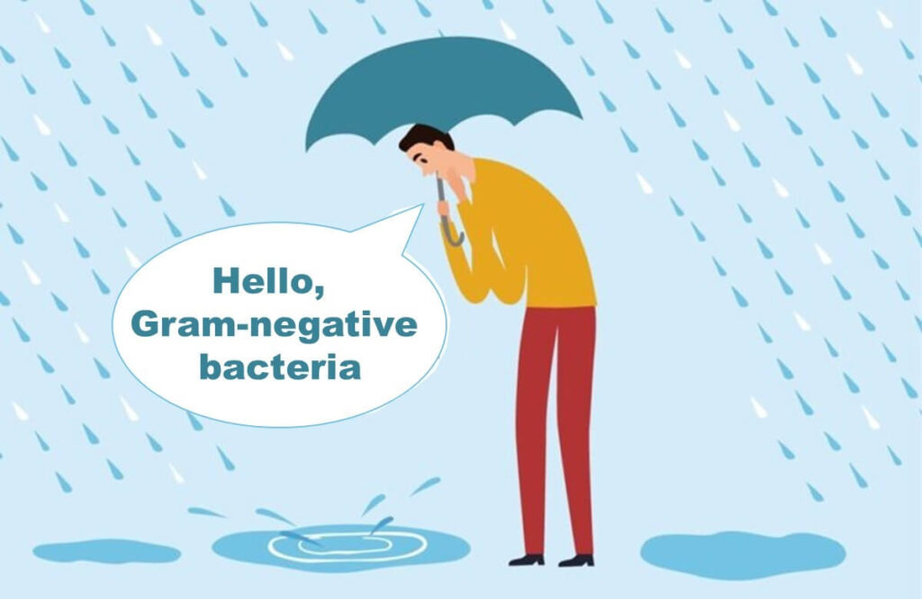 Illustration of a man observing rain puddles, symbolizing the proliferation of Gram-negative bacteria in moist environments.