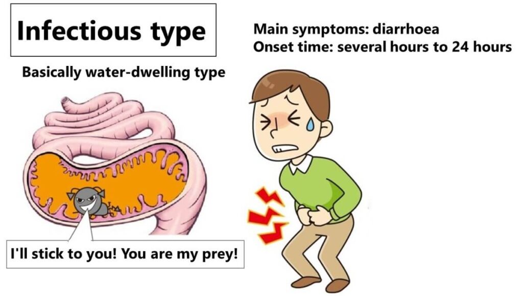 Illustration of infectious-type food poisoning caused by Gram-negative bacteria, showing symptoms like diarrhea and stomach pain with an onset time of several hours to 24 hours.
