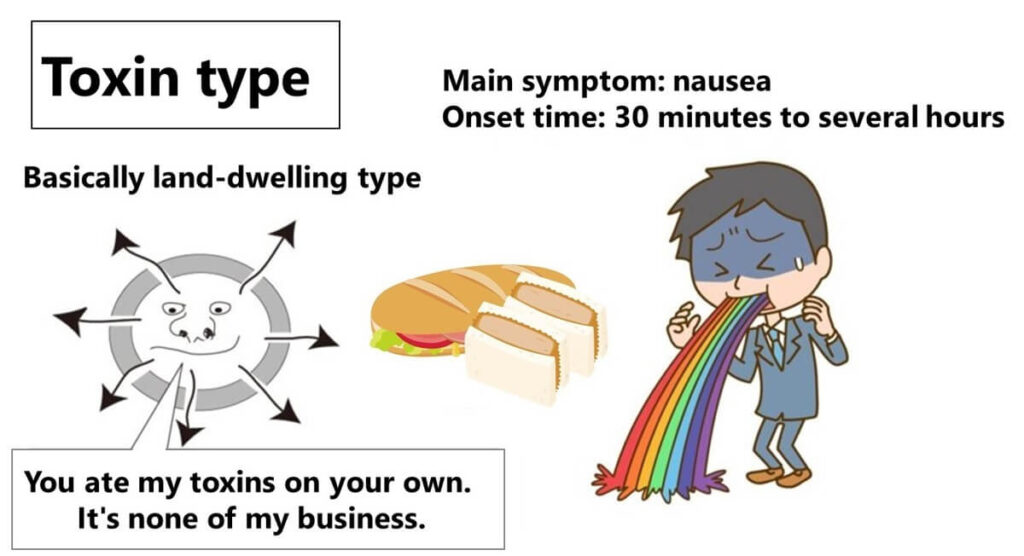 Illustration of toxin-type food poisoning caused by Gram-positive bacteria, highlighting symptoms like nausea and onset time of 30 minutes to several hours.