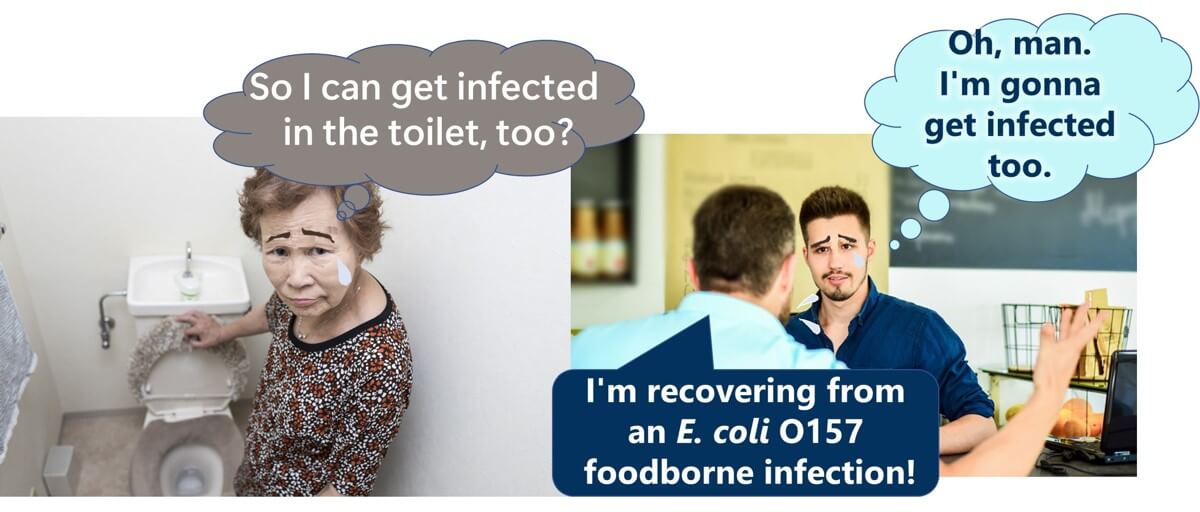 Can Salmonella and E. coli O157 Be Transmitted in the Toilet or During