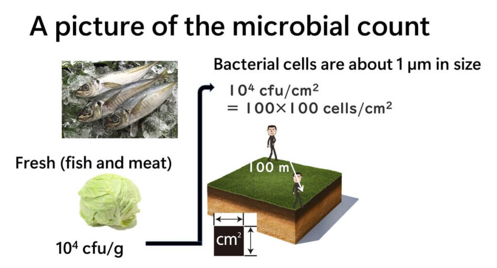 Imagine the number of micro-organisms on fresh fish and vegetables with the metaphor of a person standing on the ground.