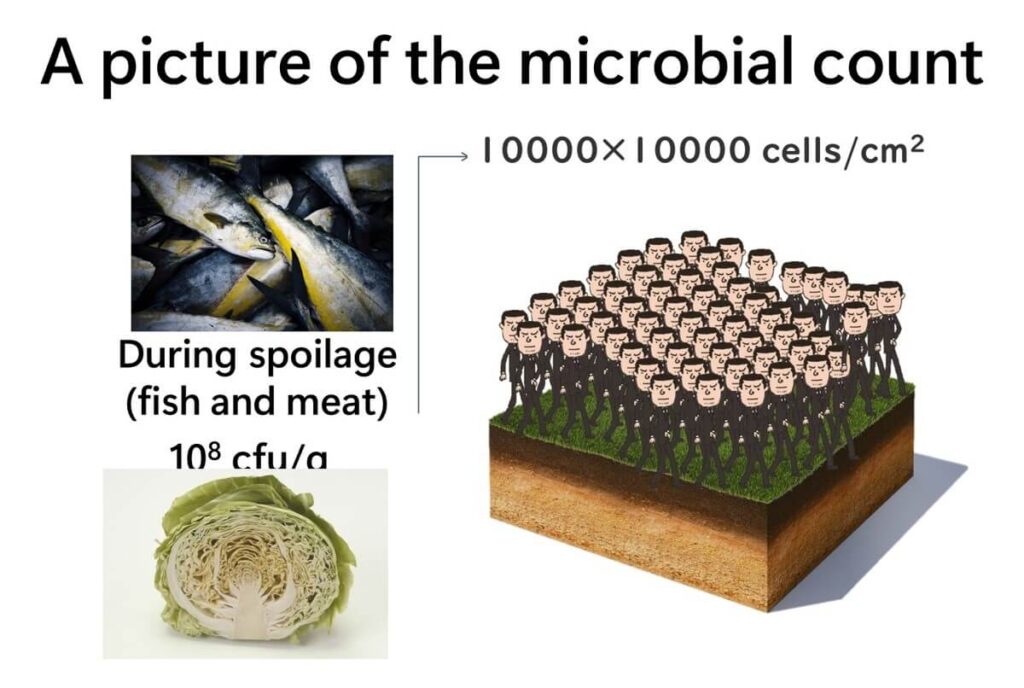 Imagine the number of micro-organisms on decaying fish and vegetables with the metaphor of a person standing on the ground.