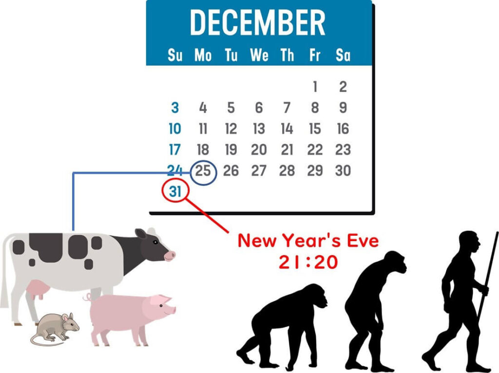 Date of birth of mammals and humans when the history of life is compared to a year.