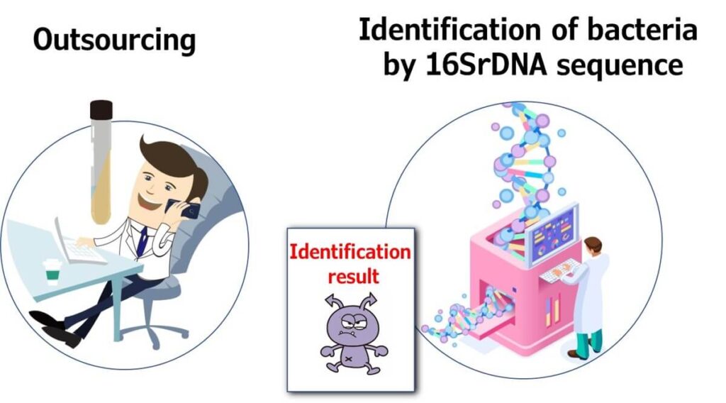 Image of outsourced microbial identification