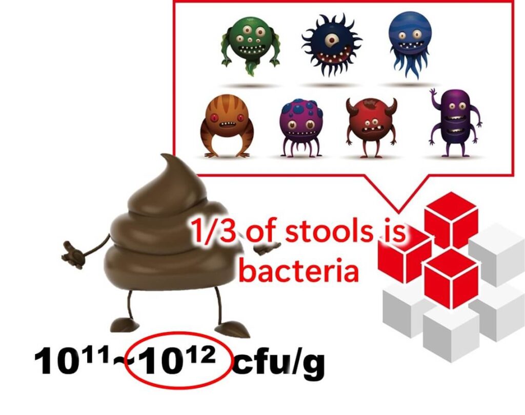 Illustrative image of the number of micro-organisms in human faeces.