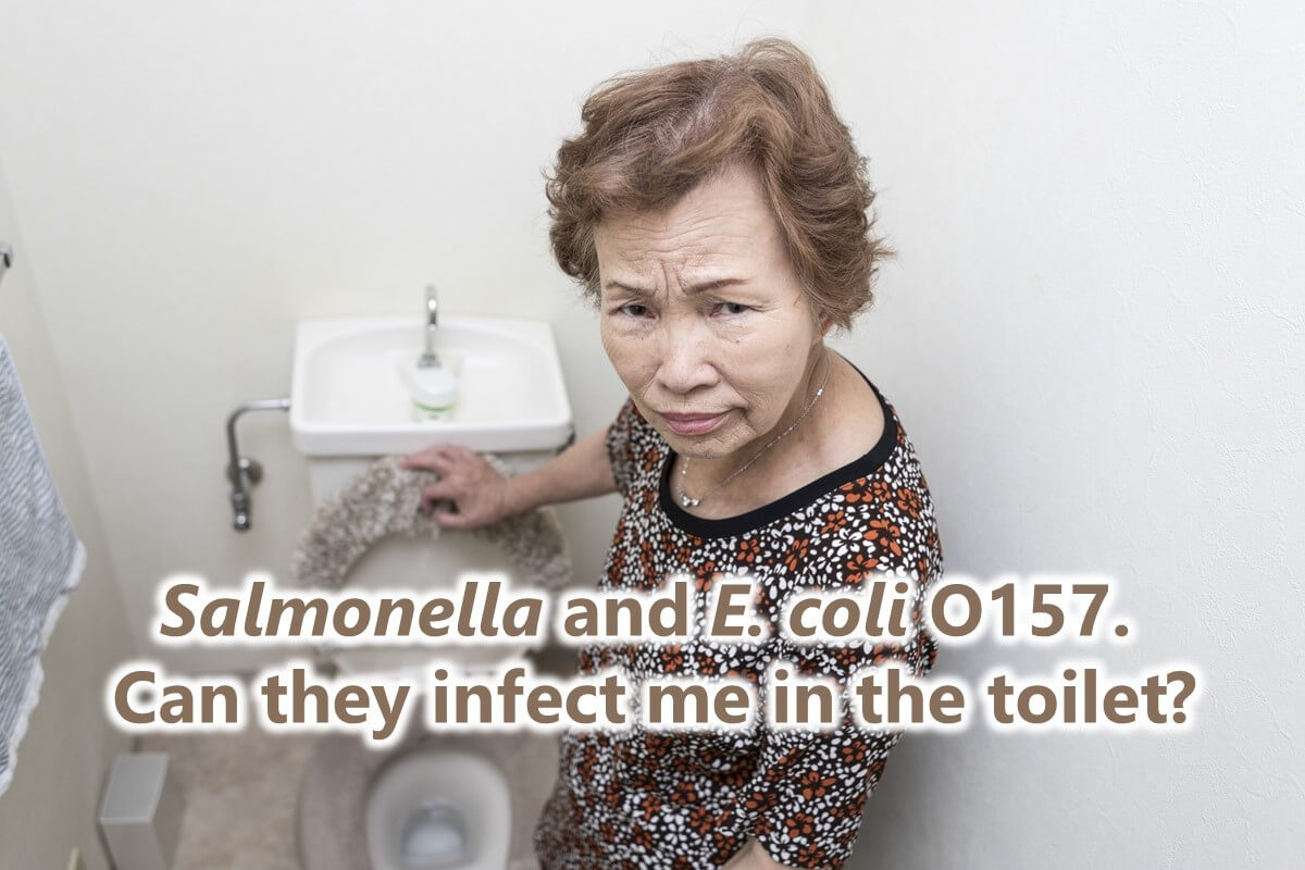 Can Salmonella and E. coli O157 Be Transmitted in the Toilet or During