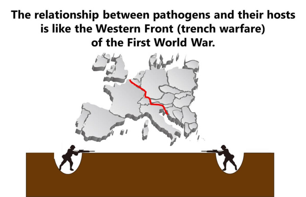 The battle between animals and pathogens is similar to the First World War