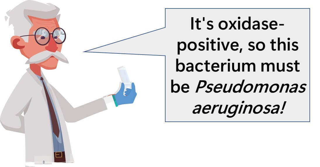 The Oxidase Test: Understanding its Mechanism, Principles, and ...