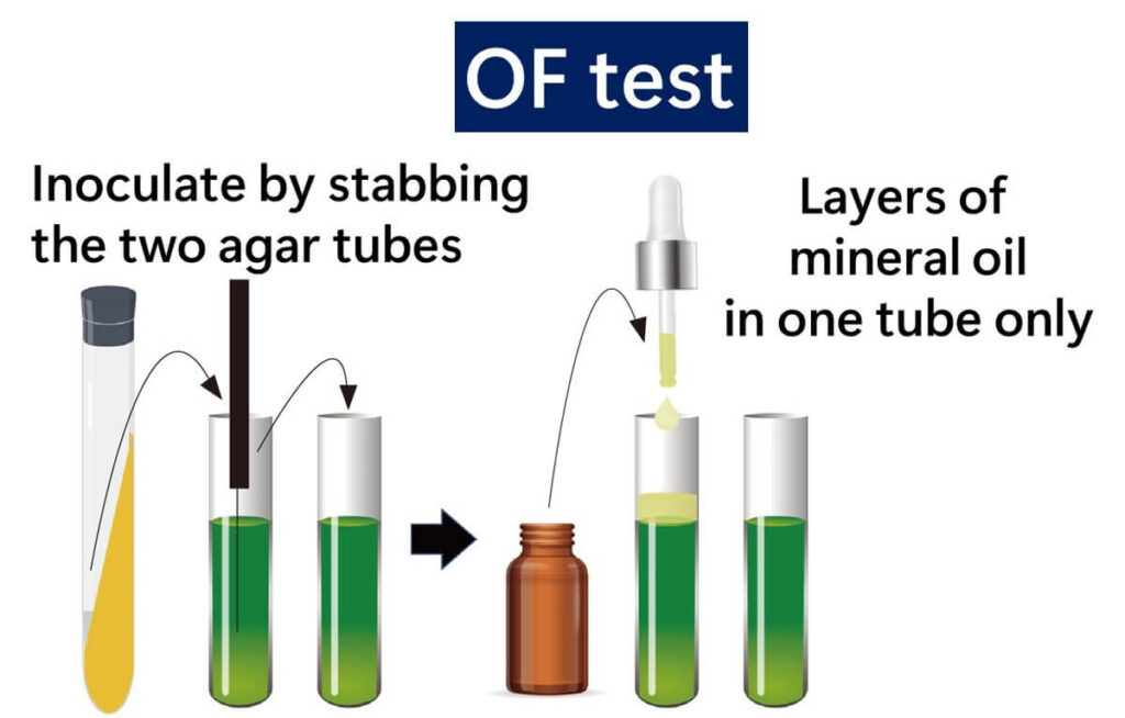 OF test experimental overview.