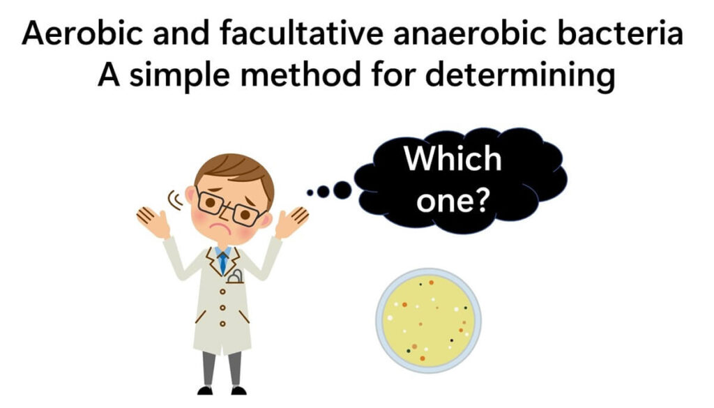 A man in the examination wondering whether the isolated bacteria are aerobes or facultative anaerobes.