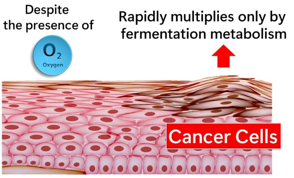 Cancer cells also proliferate through overflow metabolism.