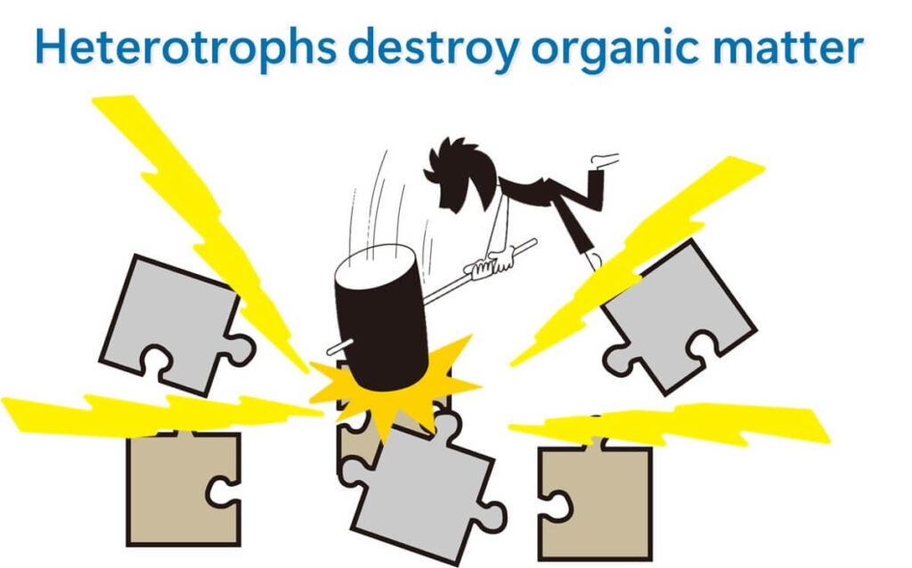 Animals must destroy organic matter to obtain energy.
