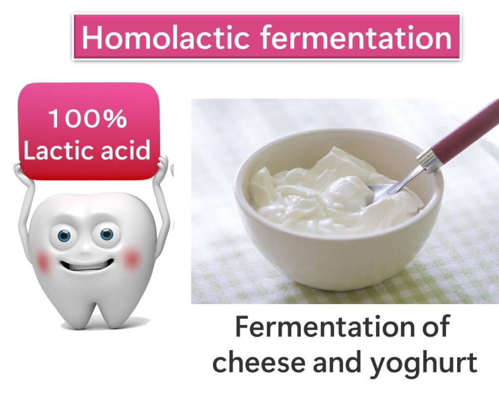 Homo-type fermentation by lactic acid bacteria.