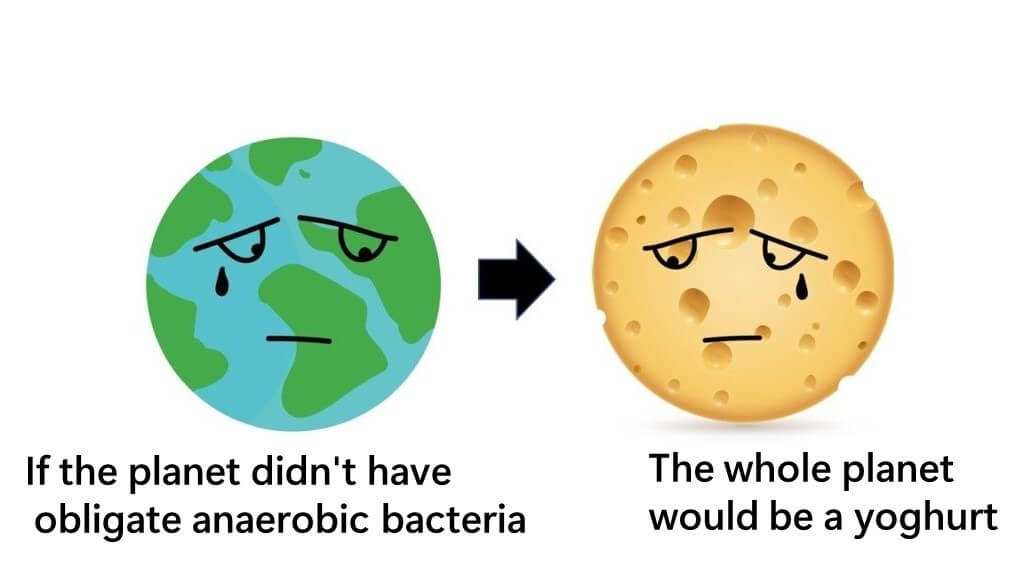 If there were no obligate anaerobic bacteria on earth, the entire planet would be yogurt.