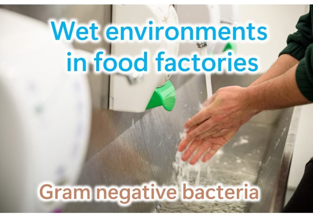 Wet sink in food factory demonstrating moist environments where Gram-negative bacteria thrive.