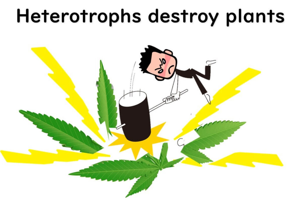 Heterotrophs-destroy-plants　