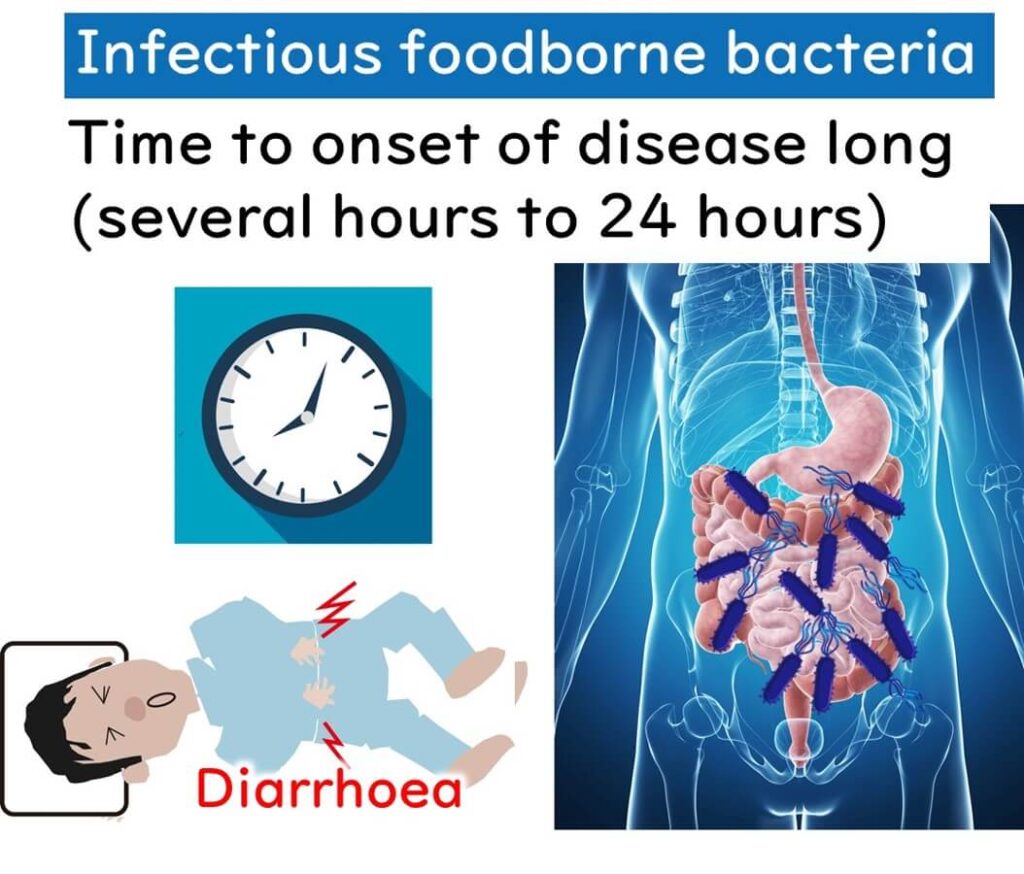 Illustration showing longer onset time (several hours to 24 hours) of infectious foodborne illness caused by Gram-negative bacteria, with symptoms like diarrhea and abdominal pain.