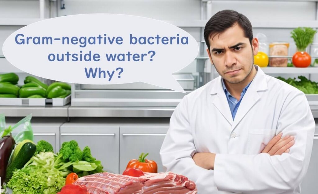 A food safety researcher questioning how Gram-negative bacteria can be found on moist surfaces like vegetables and meat outside aquatic environments.