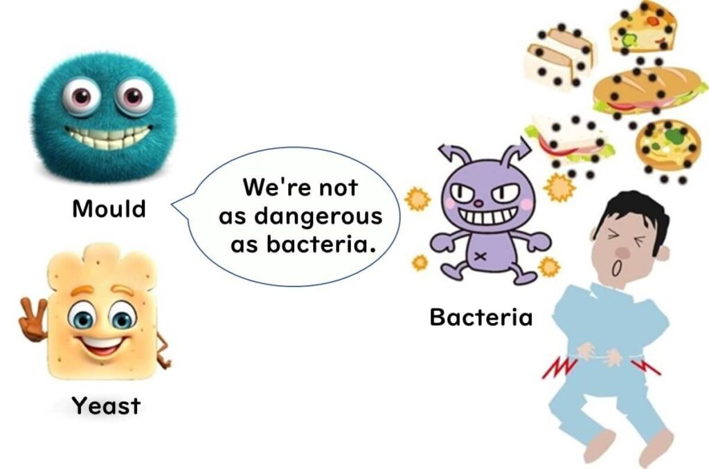 moulds-and-yeasts-are-not-as-dangerous-as-bacteria