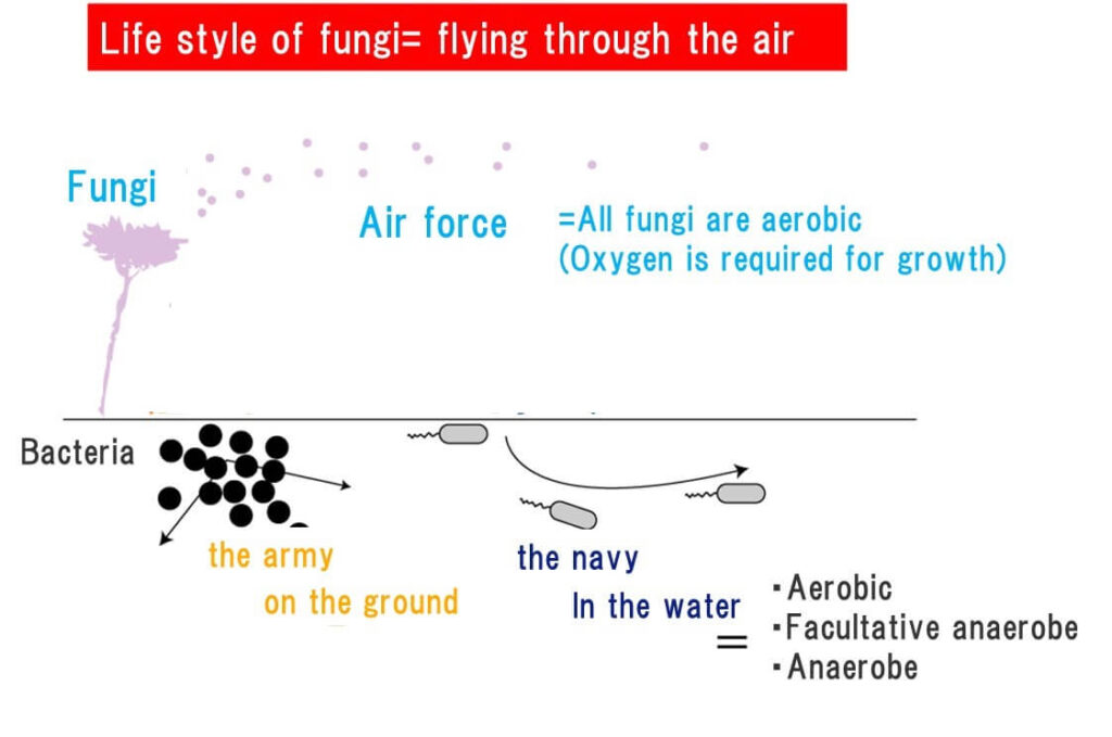 moulds-mode-of-life-is-air-force