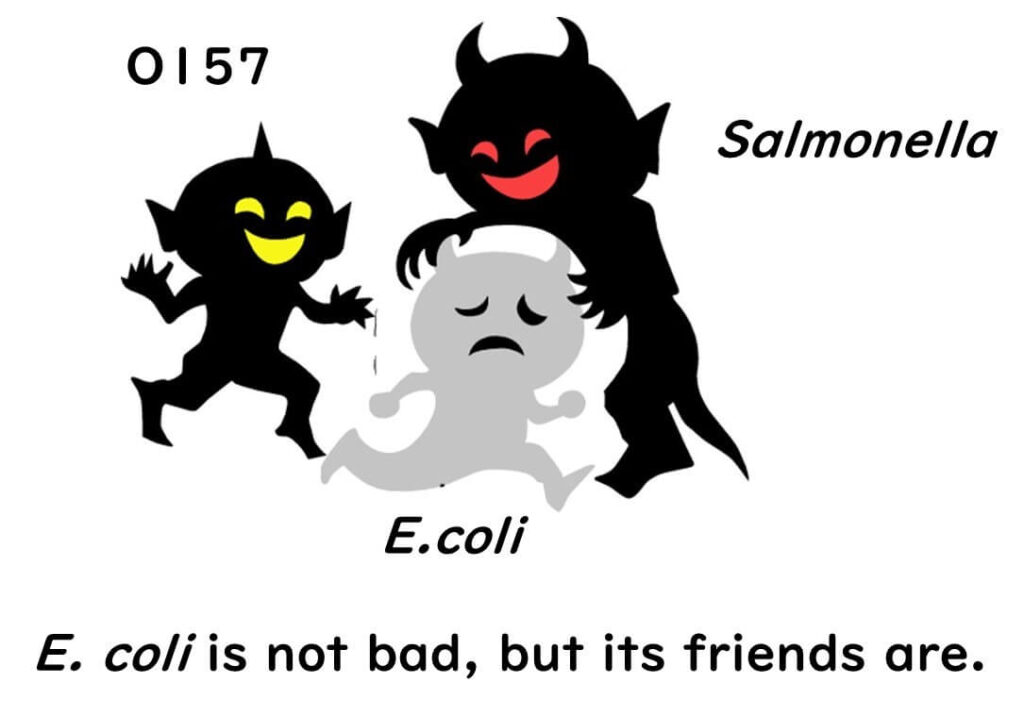 Illustration showing E. coli surrounded by harmful bacteria like O157 and Salmonella, emphasizing E. coli’s role as an indicator rather than a pathogen.
