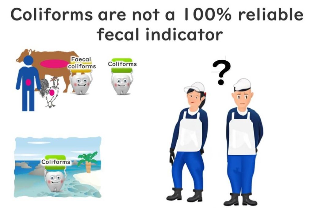 Illustration explaining that coliform bacteria are not always reliable as indicators of fecal contamination, showing examples of coliforms found in humans, animals, and environmental sources. Workers depicted questioning coliform reliability.