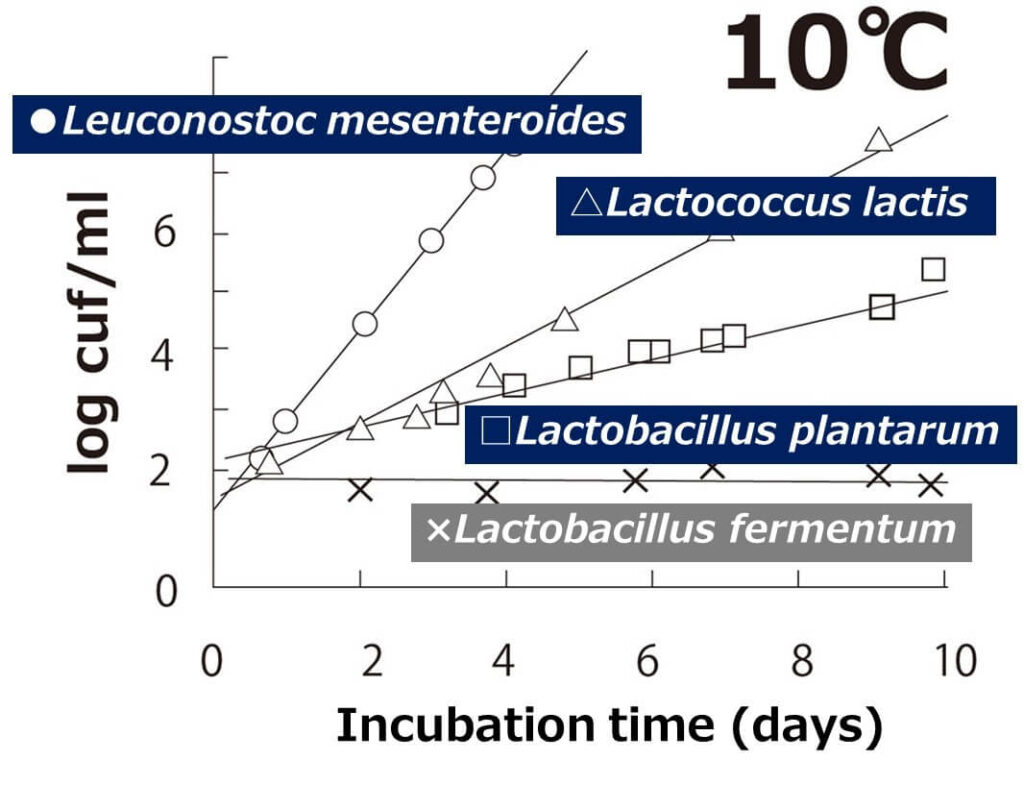 Growth of lactic acid bacteria at 10°C.