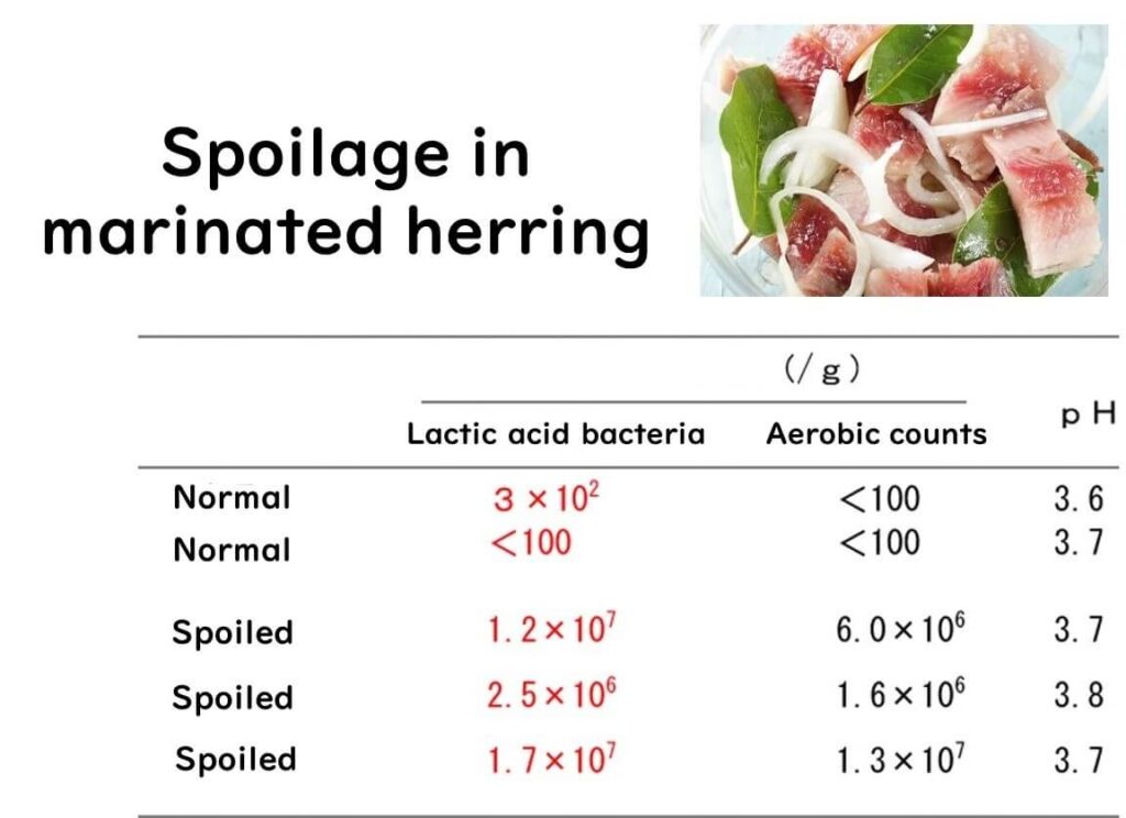 Lactobacillus causing spoilage of marinated herring.