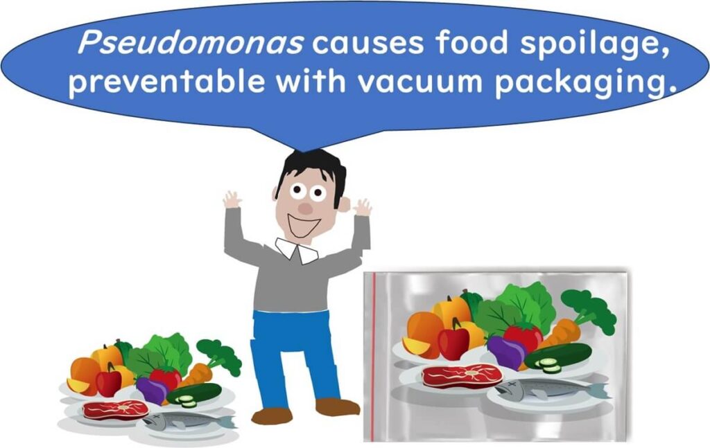 Pseudomonas as a putrefactive bacterium.