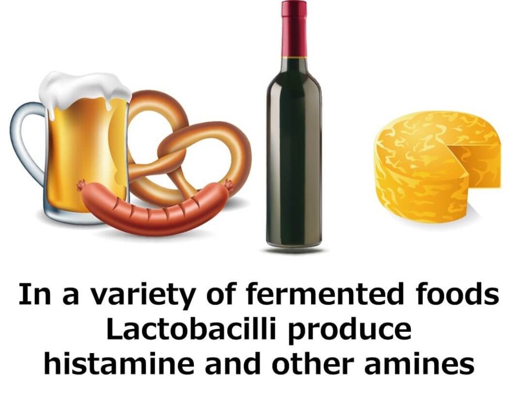 Various fermented foods produced by lactic acid bacteria.