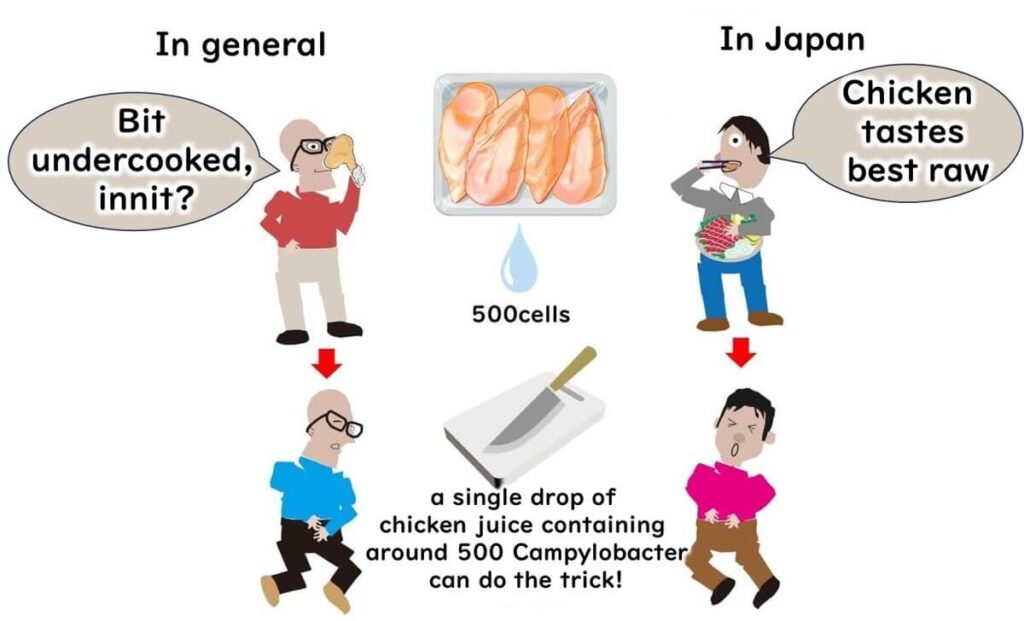 Campylobacter food poisoning patterns.