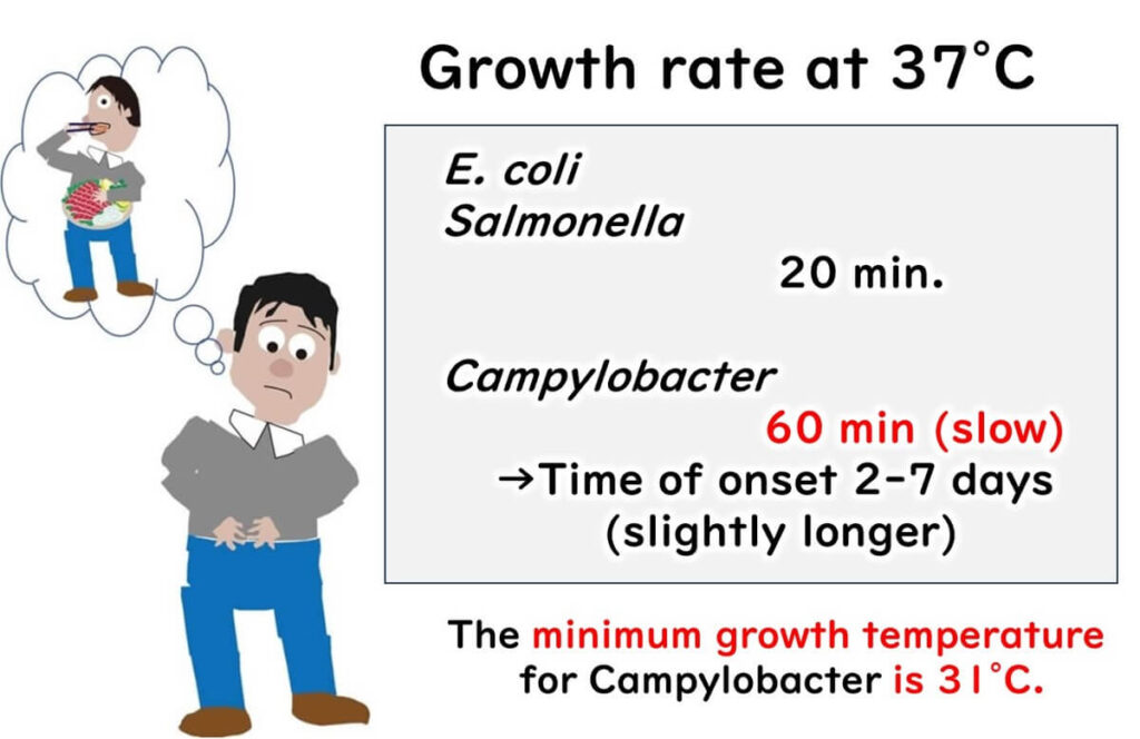 onset of campylobacter infection is a bit late.