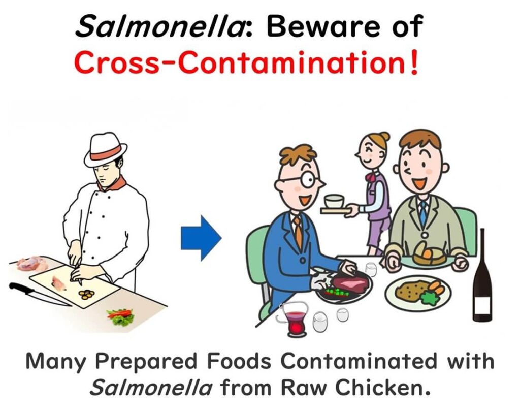 The danger of cross-contamination of Salmonella.