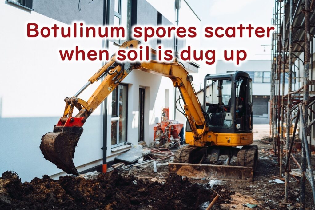 Botulinum toxin rises from the soil.