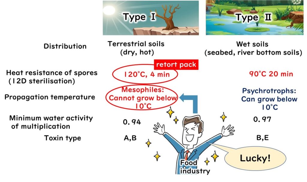 Comparison of botulinum type 1 and type 2 bacteria.