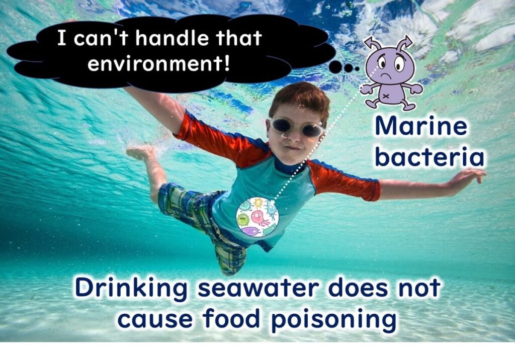 Vibrio parahaemolyticus, a marine bacterium, shown unable to thrive in freshwater environments. Caption: 'Drinking seawater does not cause food poisoning,' highlighting the bacterium's adaptation to salty seawater and its limited survivability in freshwater.