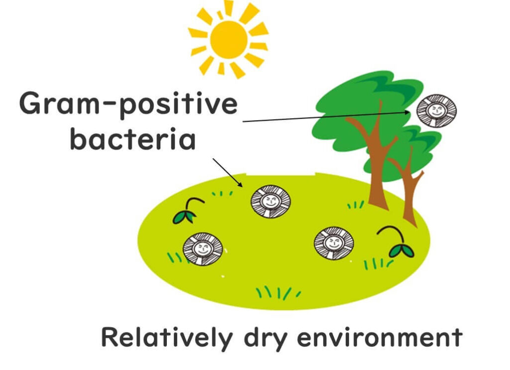 Relatively dry environments where Gram-positive bacteria can survive.