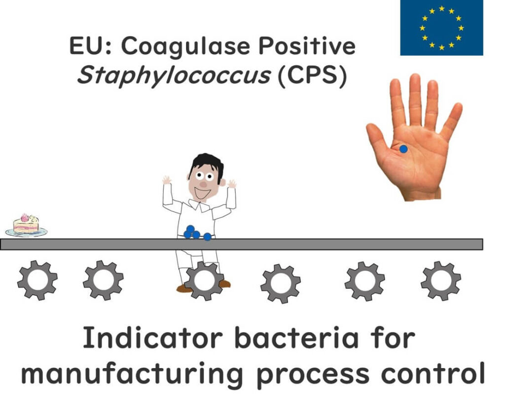 Staphylococcus aureus used in European manufacturing processes.