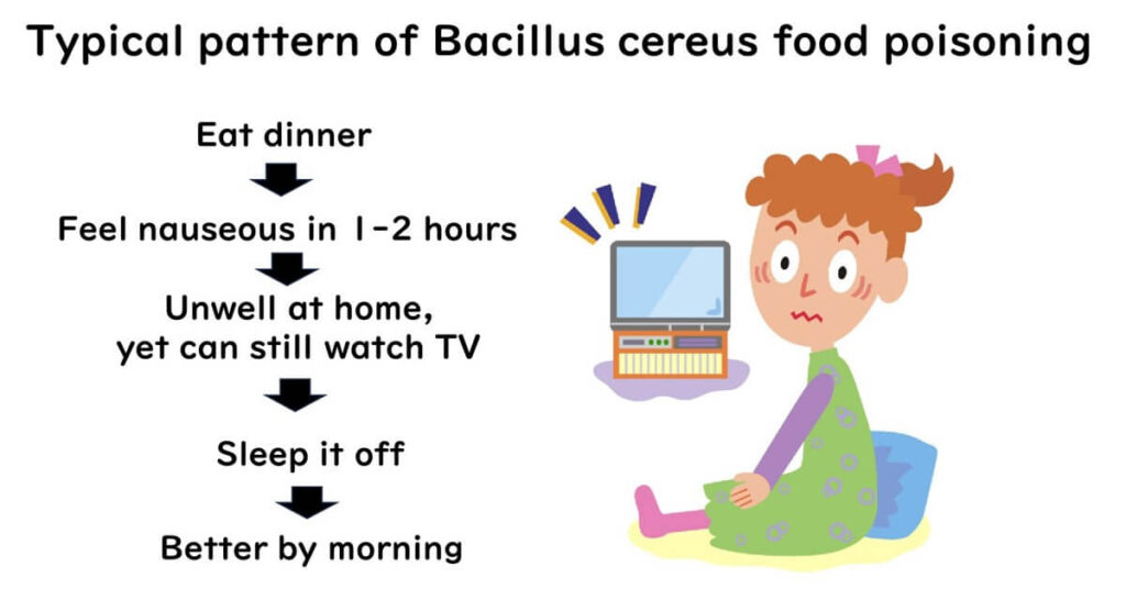 Typical pattern of Bacillus cereus food poisoning.