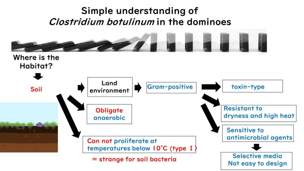 Understanding botulism through dominoes.