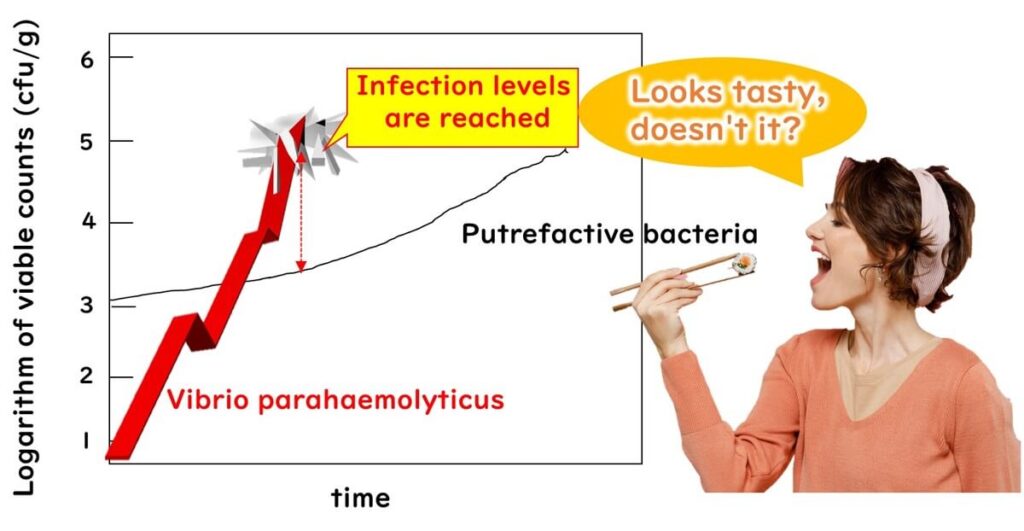 Vibrio parahaemolyticus reaches infectious levels before signs of fish spoilage appear, as shown by rapid bacterial growth on the logarithmic scale.