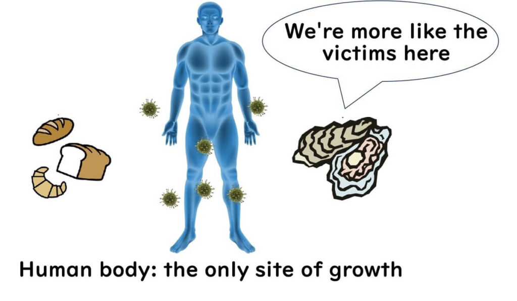 Humans are the natural hosts of noroviruses