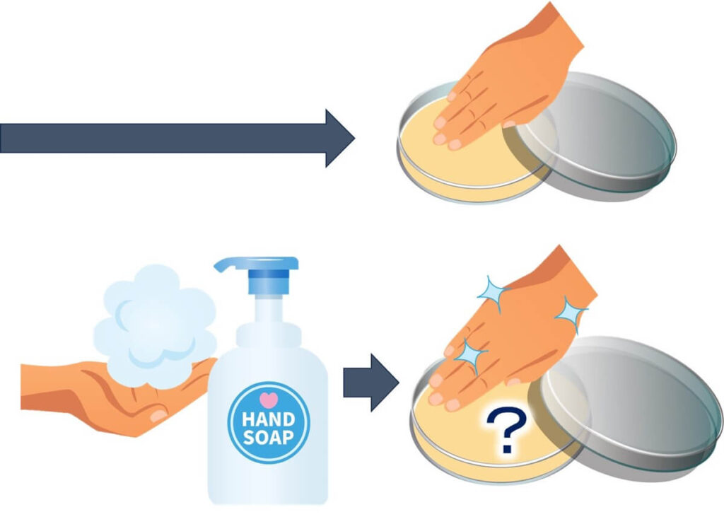 Microbiological experiments after hand washing