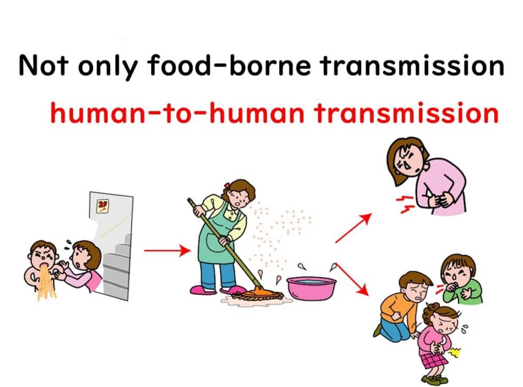 Illustration showing human-to-human transmission of norovirus in kindergartens, including vomiting, cleaning processes, and virus spread among children through contact.