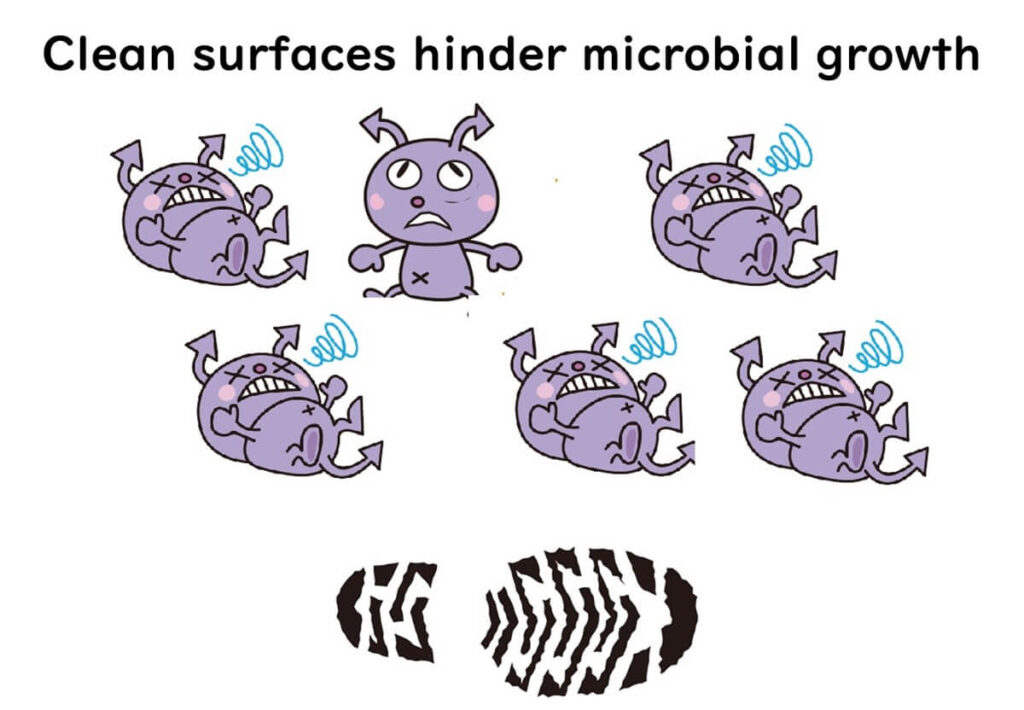 Microbes cannot multiply in a cleaned situation.
