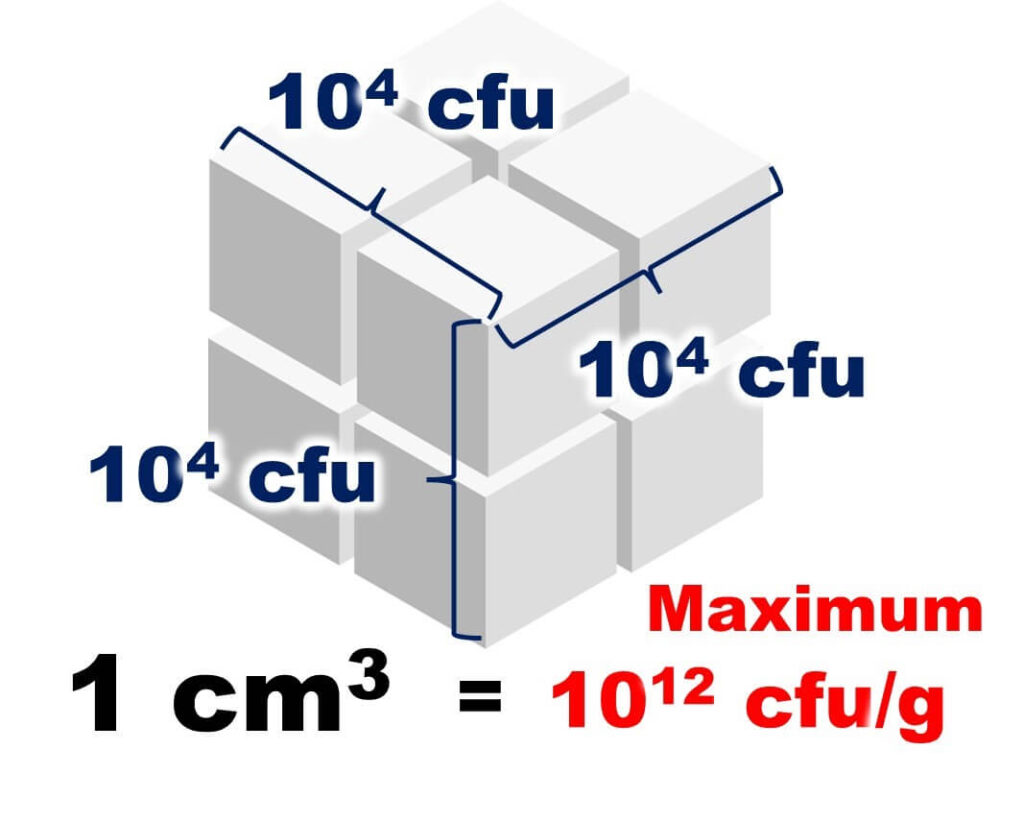 Basis of 12D calculation 2