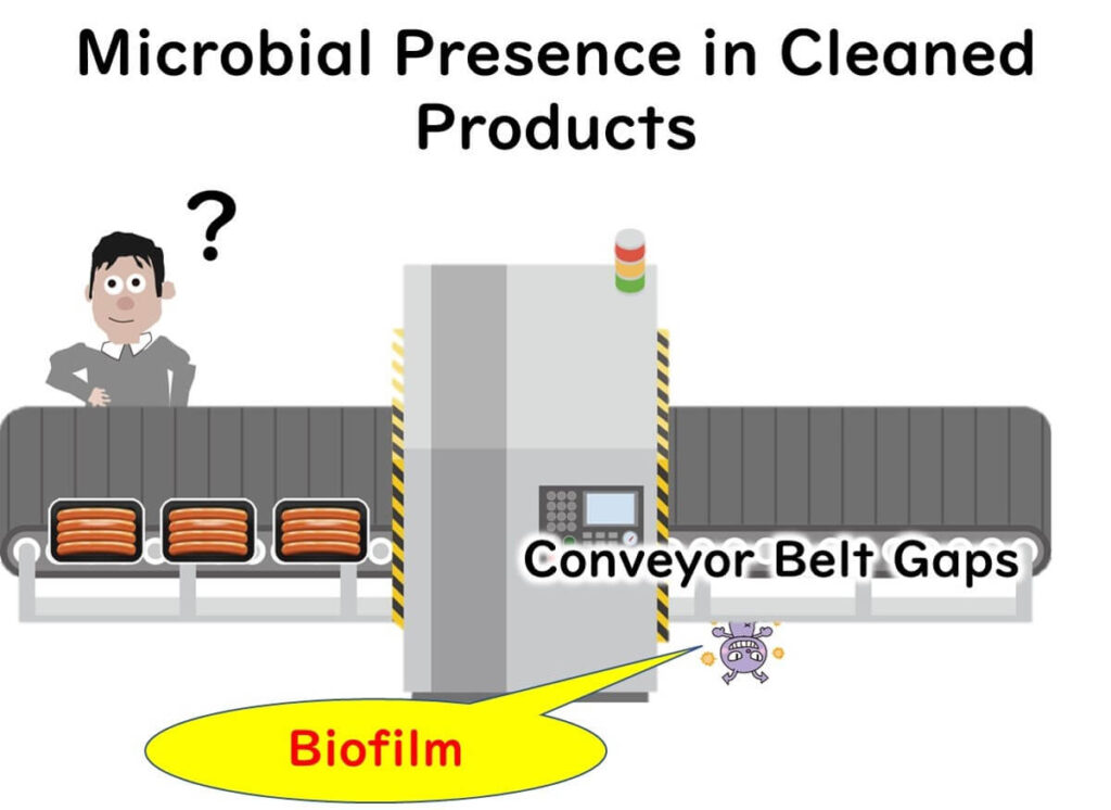 Biofilm in food factory lines