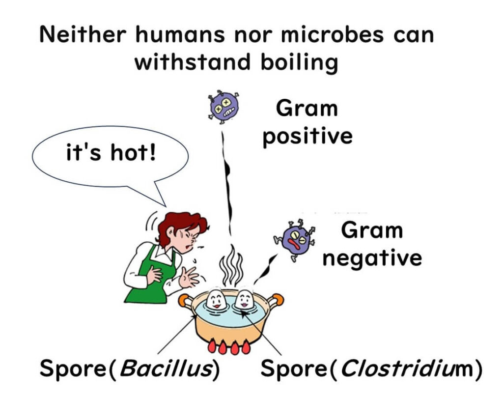 Boiling and microbial extermination