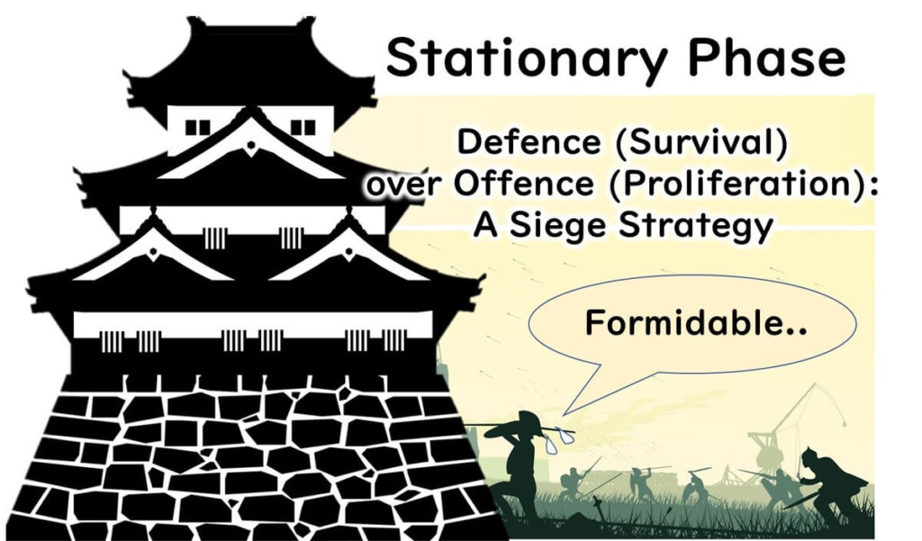 Castle defense strategy