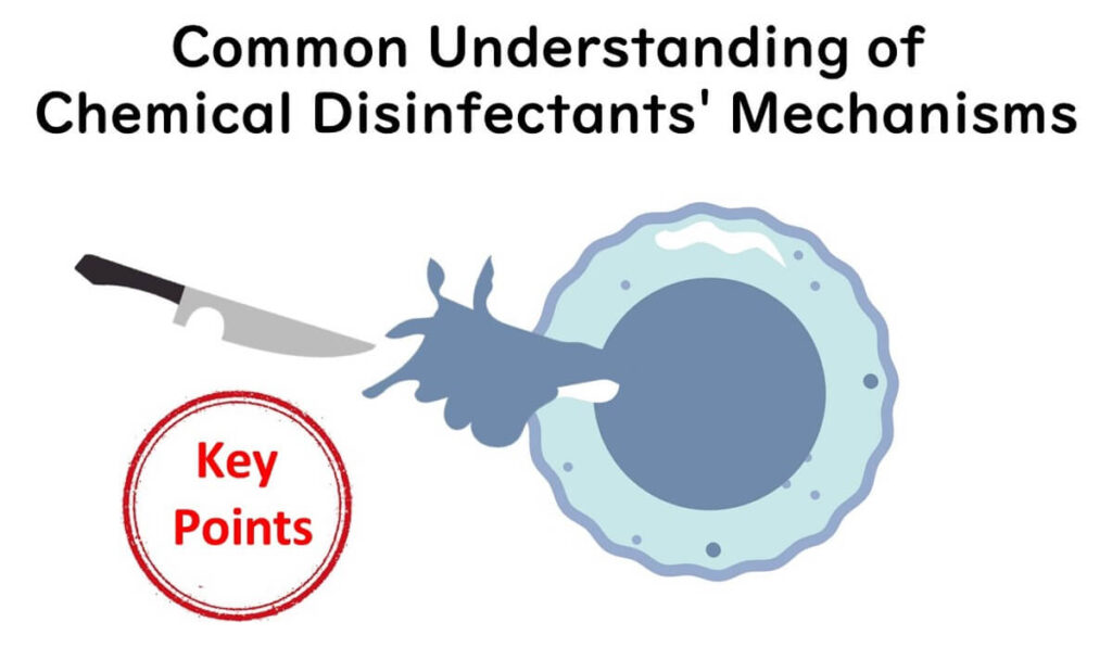 Destroying the cell membrane is key 1